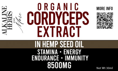 Cordyceps Liquid Tincture in Hemp Seed Oil 8500mg